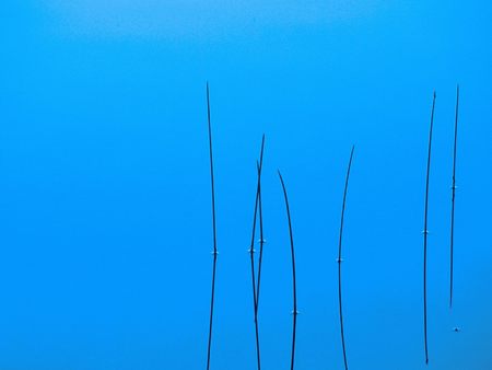 Untitled Wallpaper - blue water, letts lake, sea grass