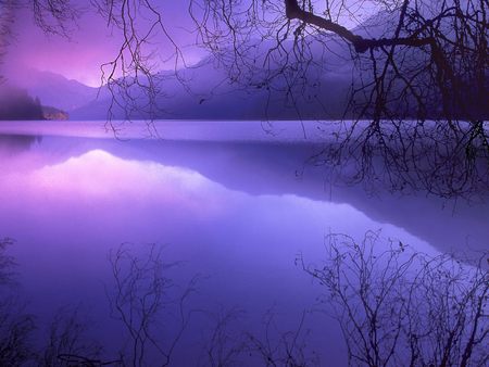 Untitled Wallpaper - lake crescent, olympic national park, purple sunset, purple