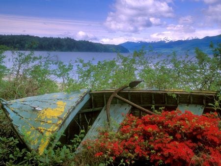 Untitled Wallpaper - hood canal, boat, washington