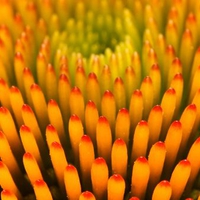Untitled Wallpaper