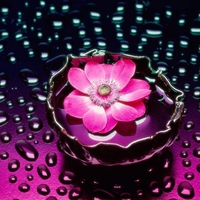 Petals & Water