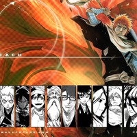 Bleach