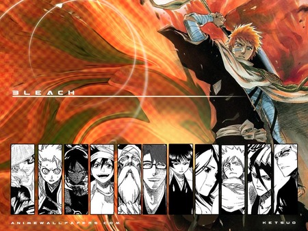 Bleach - ichigo, bleach