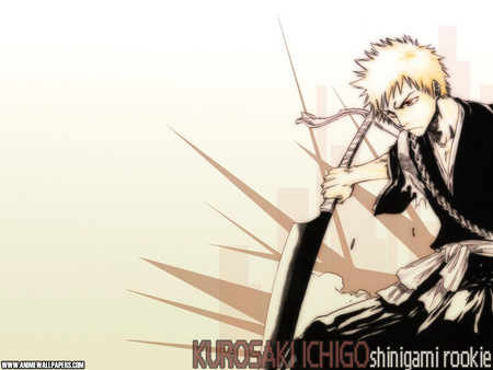 Untitled Wallpaper - ichigo