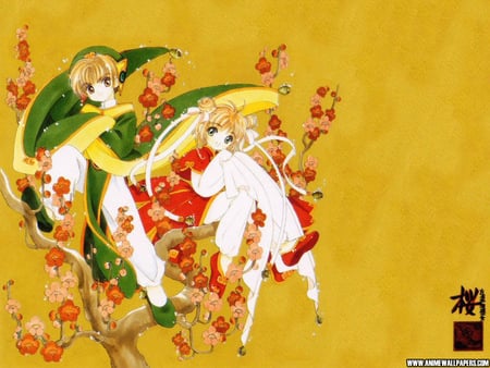 Untitled Wallpaper - clamp, card captor, cardcaptor, sakura, shaoran