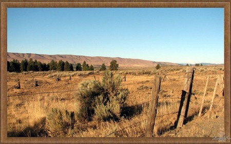 Fenced In - brown, fence, dry, field, prairie, widescreen, washington, framed