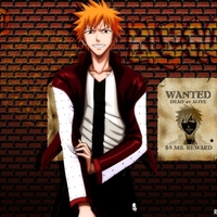 Ichigo Wanted