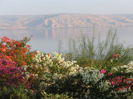 Kinneret lake-Israel - nature, lakes, israel