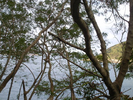 Brasil - Rio de Janeiro - Urca II - oceans, rio de janeiro, nature, brasil