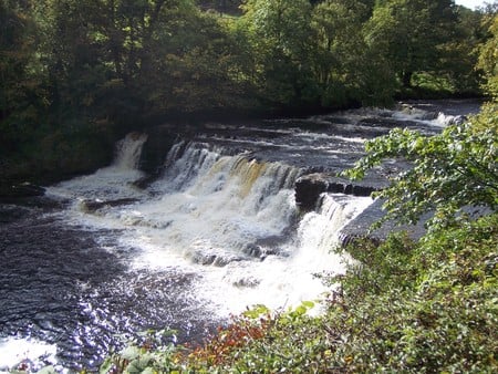 Aysgarth Falls - water, england, waterfall, river