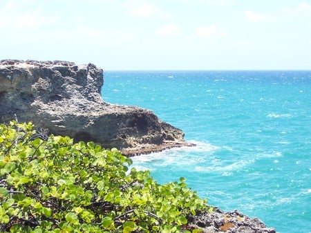 Land and Sea - cliff, sea, water, barbados