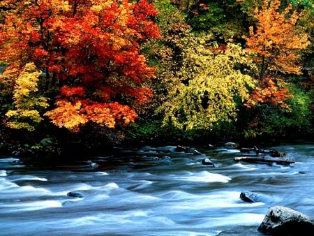 Nature Wallpaper - river, outdoors, water, nature, beauty