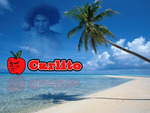 Carlito Wallpaper