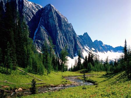 winding stream_Canada - nature, mountain, forest, paradise, river, mountains