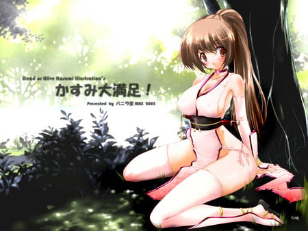 choker-dead_or_alive-kasumi-thighhighs - choker-dead-or-alive-kasumi-thighhighs