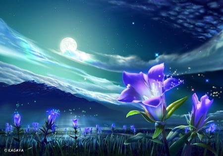 flowers - sky, photography, purple, full moon, clouds, moonlight, garden, kagaya, moon, stars, night, nature, abstract, blue, flowers, colors, flower, lights