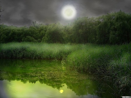 seclusion - moon, nature, lake