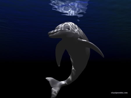 3D dolphin - 3d, fantasy, animals, blue