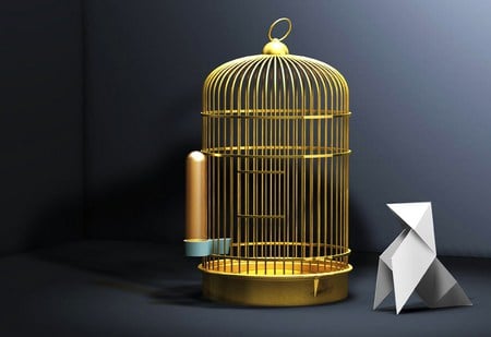 The escape - bird cage, feeder, freedom, empty, box, escape