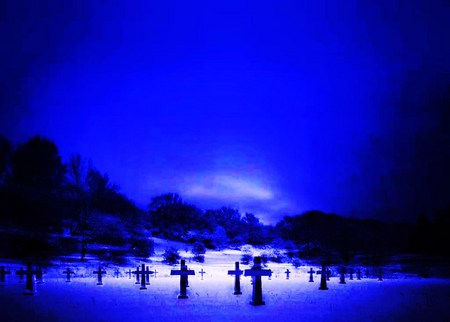 At rest - crosses, moonlight blue, trees, rows, night, cemetary