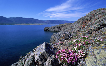 simple beauty - beauty, simple, sea, cliff