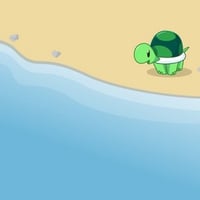 Cute turtle on beach