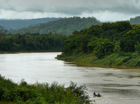 River - fish, muddy, forest, river