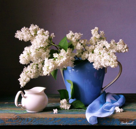 Blooms and blue - lilacs, pitcher, blue vase, petals, table, scarf