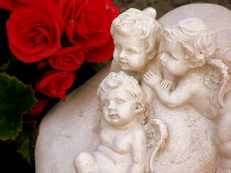 Cherubs - roses, white angels, angels, cherubs, red roses