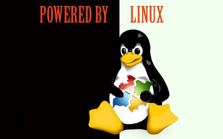 Tuxface - penguin, tux, ubuntu, linux