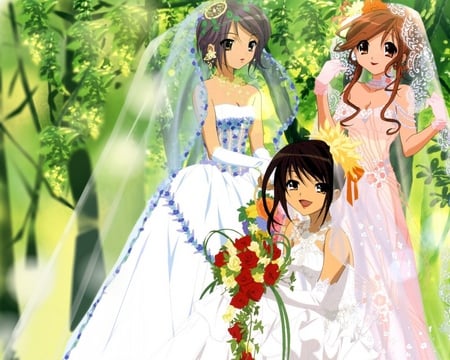 haruhi in wedding drees - anime, haruhi, suzumiya haruhi no yuuutsu, wallpaper, other