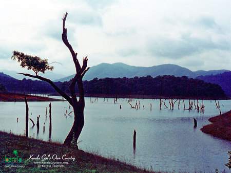 kerala - cloud, cute, beauty, lake, sky, kerala, tree, scene, nature