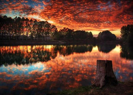 Coral twilight - reflections, lake, coral clouds, trees, evening