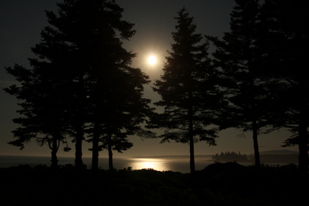 Mt. Desert Island, Maine - maine, nature, island, lake