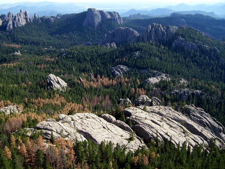 Black Hills, South Dakota - nature, mountains, black hills, forests