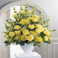 yellow roses