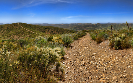 Roads Go Ever Ever On - nature, valley, canyon, vegetation, road