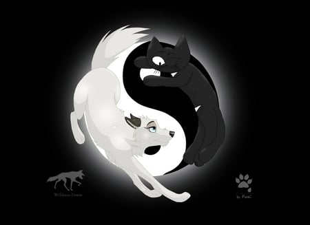 Yin And Yang - white, abstract, yang, yin, black, other