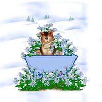 Cute kitten among flowers