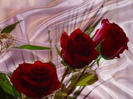 Roses For Nice_Destiny - roses, beautiful, photography, red roses, beauty, lovely, flowers, nature, red, rose, bayrie, nice-destiny