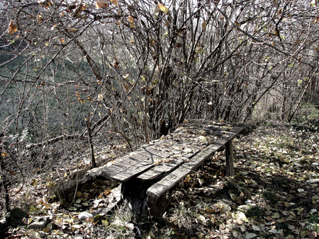 Last days of the Fall - caucasus, fog, autumn, kakheti, georgia, telavi