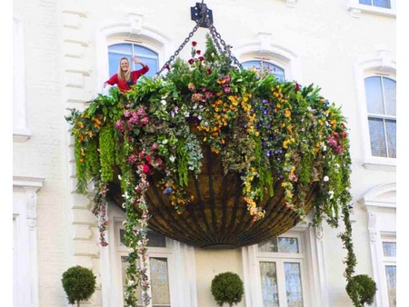 Hanging Garden - hanging, picture, cool, garden