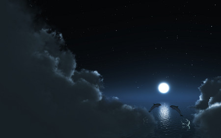 Dolphin Play - clouds, moon, cg, doplphins, night, ocean