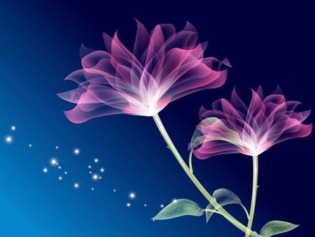 TRANSPARENT - flowers, transparent, purple, blue, beautiful