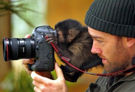 Smart Monkey - smart, picture, monkey, funny