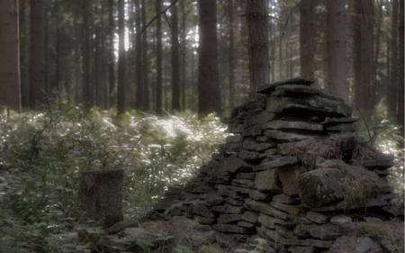 Lonely Wall - stump, nature, grass, forest, wall