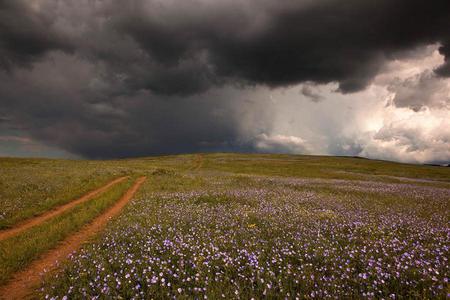 time in the field ... - nature, sky, clouds, field, flowers, grass, road