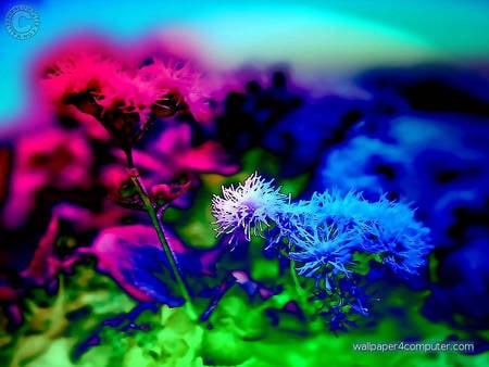 BEAUTIFUL FLOWER ART - colorful, beatiful, art, flowers