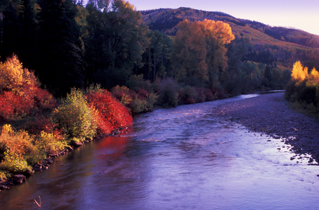 Alaskan Autumn - river, trees, nature, autumn, forest