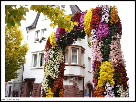 Blooming arches - two story, yellow, archway, pink, flowers, white, red, white house, cascading